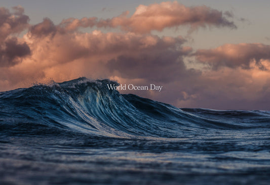 World Ocean Day