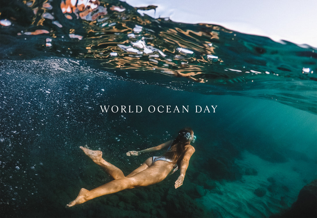 Hip Hip Hooray! It's World Ocean Day!